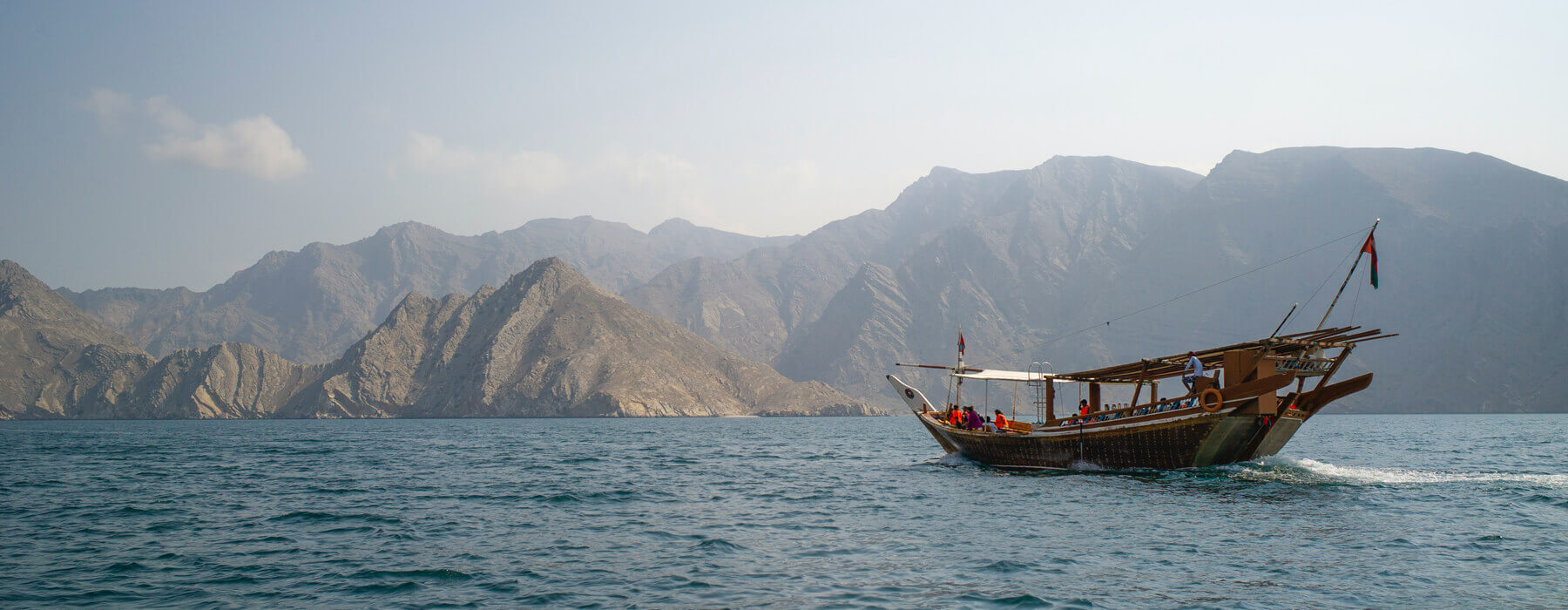 Dolphin Tours